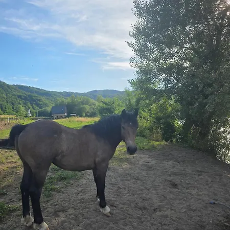 Sanja I Aleksa * Bratunac